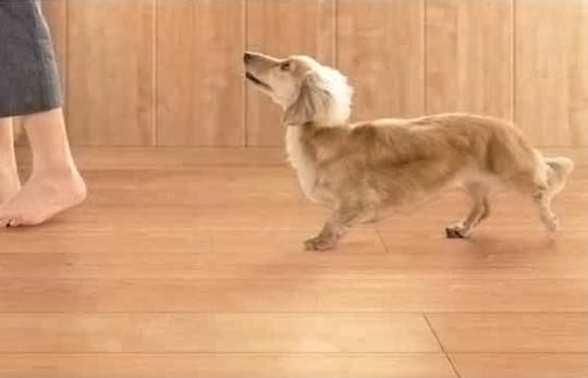 ワンラブフロア